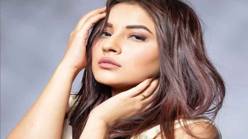 Shehnaz Gill On Watching Bigg Boss 13 Re-Run, Say "I feel embarrassed