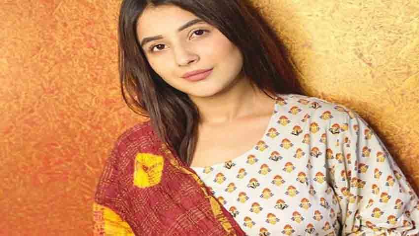 Shehnaaz Gill Looks Beautiful in her Latest Picture; Actress Reveals