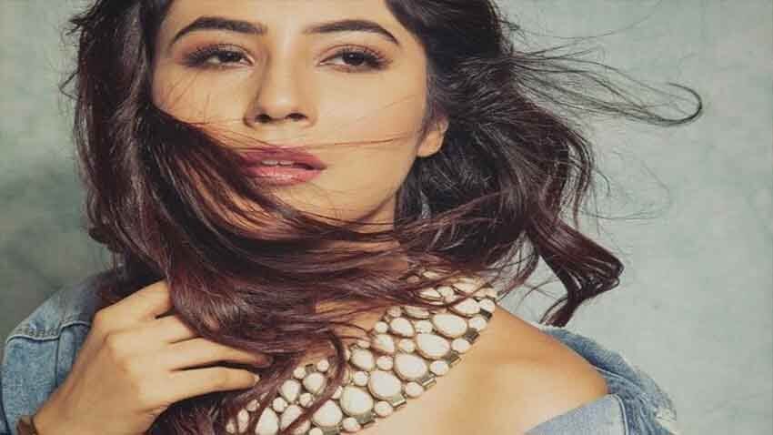 Shehnaaz Gill Fans Trends #Naazians on Twitter; After actress shares a