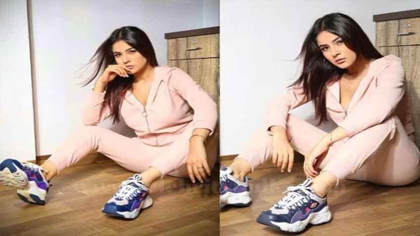 Shehnaaz Gill Looks Stunning in her Latest Picture; Says, "Once you