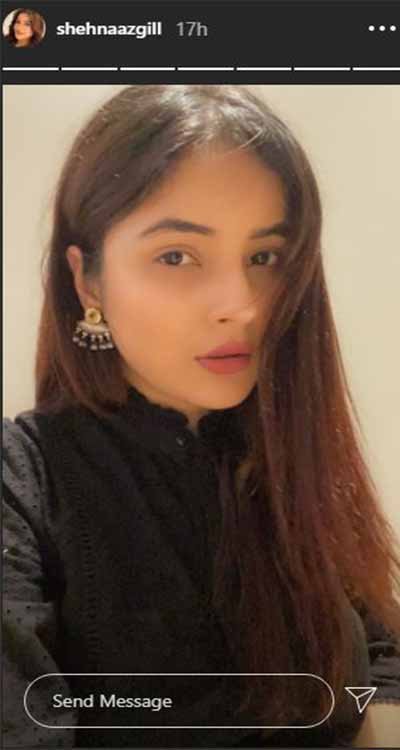 shehnaaz gill bigg boss 13 pictures bollywood news