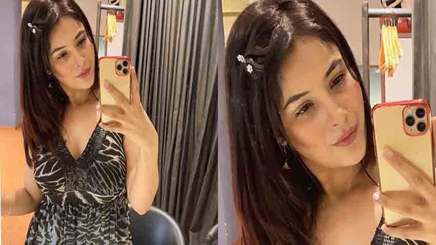 Shehnaaz Gill Looks Gorgeous As She Shares a Lovely Selfie! - Celebrity