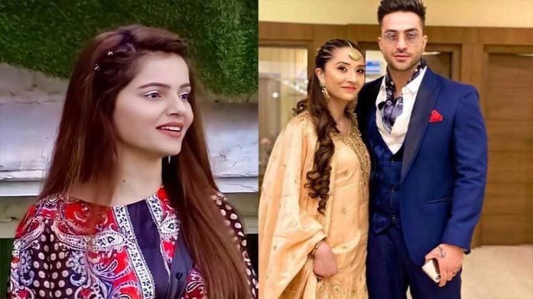 Bigg Boss 14: Aly Goni's sister sides him over his decision of