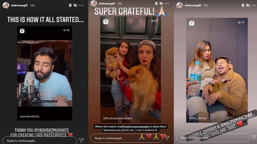 Shehnaaz Gill Instagram story