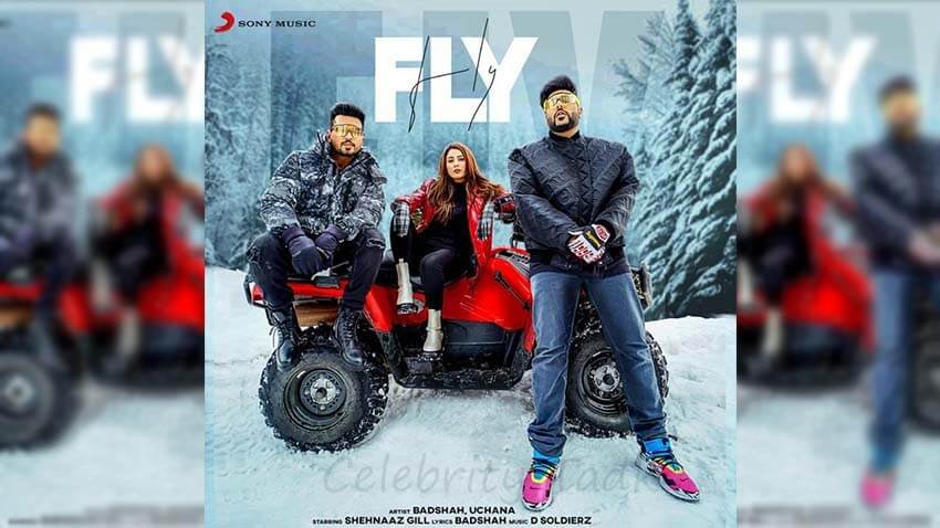 Badshah announces the release date of his upcoming music video 'FLY