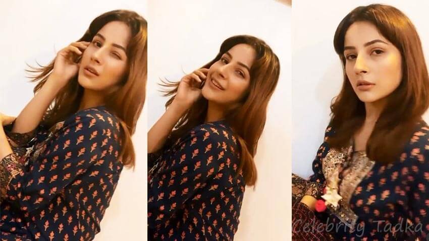 Shehnaaz Gill Drops A Stunning Video In Traditional Attire Fans Gushes