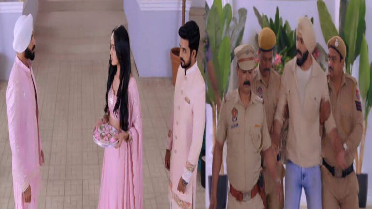 Teri Meri Doriyaann Spoiler: Sahiba agrees to marry Diljit?